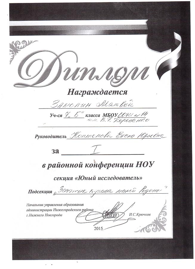 Достижения учеников